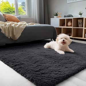 OLANLY 3x5 Machine Washable Small Bedside Rug, Soft Fluffy Shaggy Rugs for Living Room, Bedroom, Indoor Floor Carpet for Kids Girls and Boys, Preppy Dorms, Nursery, Home Decor Aesthetic, Black