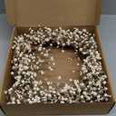 Artificial Winter Wreaths for Front Door 20 Inches White Wreath Rustic White Berry Twig Wreath for Indoors Porch Windows Wall Outdoor Christmas Celebration