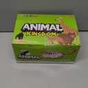 BOLZRA Safari Animals Figures Toys, Realistic Wild Zoo Animal Figurines, Plastic African Jungle Animals Playset for Kids Toddlers, 21Pcs Birthday Gifts Christmas Stocking Stuffers