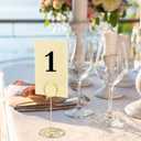 TecUnite 24 Pieces 3.35 Inch Table Number Holder Place Card Photo Holder Picture Name Menu Clips Memo Cards Stand for Wedding Reception Anniversary Birthday Party Centerpieces (Gold)