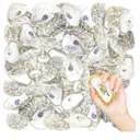 Stonechic 60PCS Oyster Shells 4"-5" Oyster Shells Bulk Large Oyster Shells for Home Decor Vase Filler, Ornaments, DIY Arts and Crafts Sea Shells, Deeper Shells