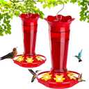 Gbekery 10 OZ Glass Hummingbird Feeders for Outdoors Hanging - Red 2 Pack, Ant & Bee Proof and 6 Feeding Ports, Garden Yard Dcor Gifts for Mom