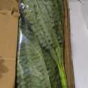 FOREST PRINCE 42" Artificial Boston Ferns, Bush Plants 2 Pack for Outdoors