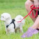Thenshop 3000 Counts 200 Rolls Dog Poop Bag Plastic Dog Waste Bags Disposable For Doggie Pets Poop Outdoor Walking Travel Mixed Colors(Lovely Style)