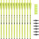 Crossbow Bolts 20inch Fluorescence Color Carbon Crossbow Hunting Arrows with 4" Vanes and Replaced Arrowhead(12 Pack)