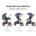 Cochildor DuraFlex 2 in 1 Baby Stroller, Foldable Travel Stroller, Blue