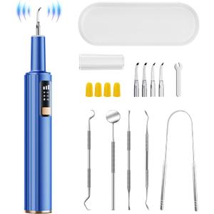 Ultrasonic Plaque Remover for Teeth with Smart Gum Protection - 42kHz Professional Tartar Remover, 10-Piece Kit (4 Heads + 6 Dentist Tools), LED Light, USB-C Rechargeable, IPX6 Waterproof for Home Use
