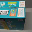 Pampers Swaddlers Diapers, Size 1 (8-14 lbs), 96 Count, Absorbent, Keeps Baby Dry and Comfortable, Skin Safe Disposable Baby Diaper 
