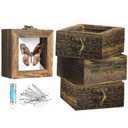 4 Pcs Insect Pinning Kit 4 inch Wooden Display Case Box, EVA Foam Insect Pinning Board, 100 Insect Pins for Butterfly Specimen Bugs Collection Tools