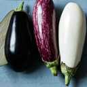 3 x Seeds Eggplant Long Mix- Heirloom Vegetable - GMO free