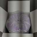 Airensky 2 Inch Cooling Gel Memory Foam Mattress Topper Twin Size - CertiPUR-US Certified Bed Topper, Pressure Relief for Back Pain, Breathable Design, Odor-Free (39"x75")