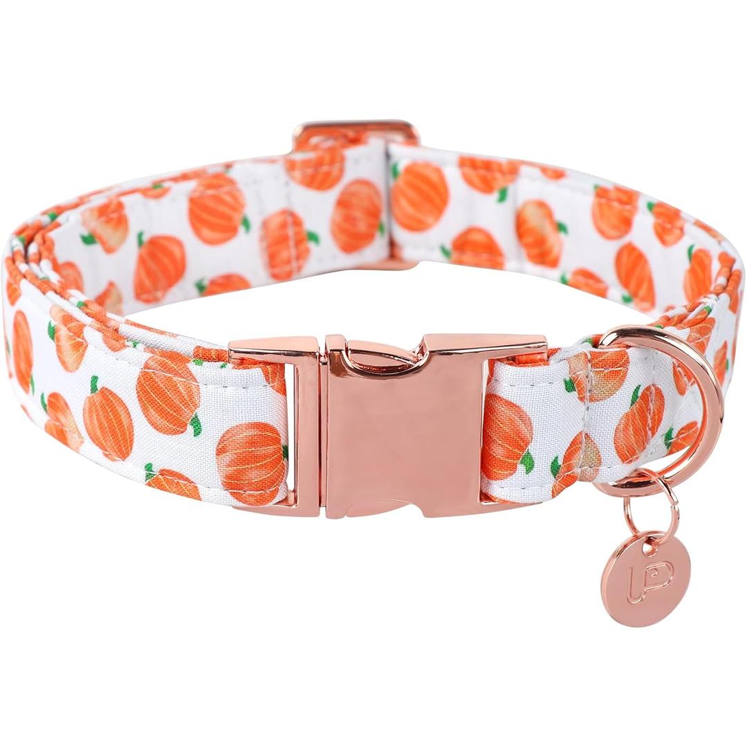 UP URARA PUP Halloween Dog Collar with Metal Buckle Gift Fall Dog Collar for Small Medium Large Girls or Boys Dogs Cute Pumpkin Cotton Pet Collars, Large