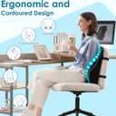 Niceeday Lumbar Support Pillow for Office Chair Car Back Support Pillow, Memory Foam Gaming Chair Desk Chair Back Cushion for Lower Back Pain Relief, Ergonomic Back Rest,Office Home Essentials