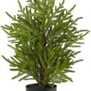 Nearly Natural 2ft. Norfolk Island Pine Natural Look Artificial Tree in Decorative Planter (Green)