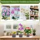Orchid Pots with Holes and Saucers for Repotting | 4, 5, 5.6, 6 inch Clear Plastic Orchid Pots Flower Plant Pot with Stakes Clips | Breathable Slotted Orchids Planter with Drainage for Root Health