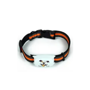 Beardpet's 4G GPS tracker for Dogs