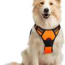 rabbitgoo Dog Harness No Pull with 2 Leash Clips, Adjustable Soft Padded, Reflective Oxford No Choke Pet Vest with Easy Control Handle for Medium Sized Dogs,Orange, M