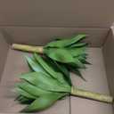 Artificial Spiked Agave Plants Outdoor,20”UV Resistant Fake Silk Plants with 20 Lifelike-Broad Leaves,Faux Yucca Floor Plants for Home Front Porch Patio Office Door Step Hotel Desert Style Decor 2Pack