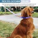 Soft Leather Martingale Dog Collar - Adjustable Rose Gold Limited Slip Collars [Easy to Clean], Stylish Durable Heavy Duty Nylon No Pull Training Collar for Dogs (XS, Set Purple)