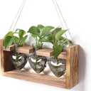 Plant Terrarium Birthday Gift for Women Propagation Stations Home Office Decor Heart Shaped Glass Vase with Wooden Stand (4.7"D x 10.8"W x 5.5"H)