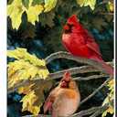 2 x Fall Garden Flag Cardinal Birds 12x18 Inch Double Sided, Autumn Leaves Decorative Yard Flags for Anniversary Yard Outside Holiday Seasonal Decoration