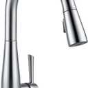 Delta 9113-AR-DST Essa Kitchen Faucet, Standard, Arctic Stainless