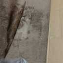 Amazon Basics Cat Scratcher - Indoor Classic Single Cat & Kittens Scratching Post with Sisal Rope, Jute Fiber, Large (35.4"H) - Brown