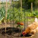 WAKCCIL 9 Packs 24"x 12" Large Wire Plant Protectors Cages to Keep Animals Out,3 Pcs Mesh Plant Cage Chicken Wire Cloche with Ground Stakes Nylon Ties Protect Plants,Shrubs,Vegetables,Garden Cloche