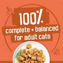 Purina Friskies Wet Cat Food Gravy Variety Pack, TurChicken Extra Gravy Chunky, Meaty Bits and Prime Filets - (Pack of 40) 5.5 oz. Cans