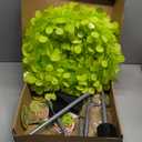 Syhood Whimsical Christmas Tree 5ft Bendable Pop up Collapsible 1 Minute Christmas Tree with 36 Wooden Ornaments for Indoor Outdoor Home Office Holiday Xmas Party Decor Supply