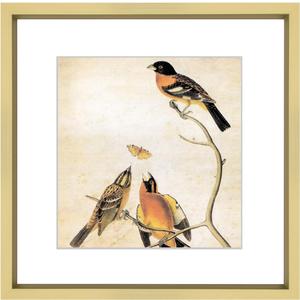 10x10 Picture Frame, Brass Metal Square Photo Frames with HD Glass, Fits 6x6 with Mat or 10 x 10 without Mat, Display for Wall and Table, 1 Pack