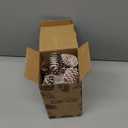 JOHOUSE 40PCS Snow Pinecones for Decorating, Natural Pine Cones for Crafts Vase Filler Christmas Tree Winter Holiday Hanging Ornaments