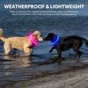 Light Up Dog Collar - Waterproof LED Dog Collar Rechargeble, TPU Cuttable Glow in The Dark Safety Dog Lights for Night Walking(Blue)