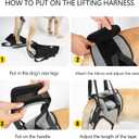 Dotoner Dog Sling Hind Leg Support to Help Rehabilitate The Hind Limbs of Elderly Dogs with Weak Hind Legs Disabilities and Injuries Dog Harness Helps Arthritis ACL Recovery (M, Grey)