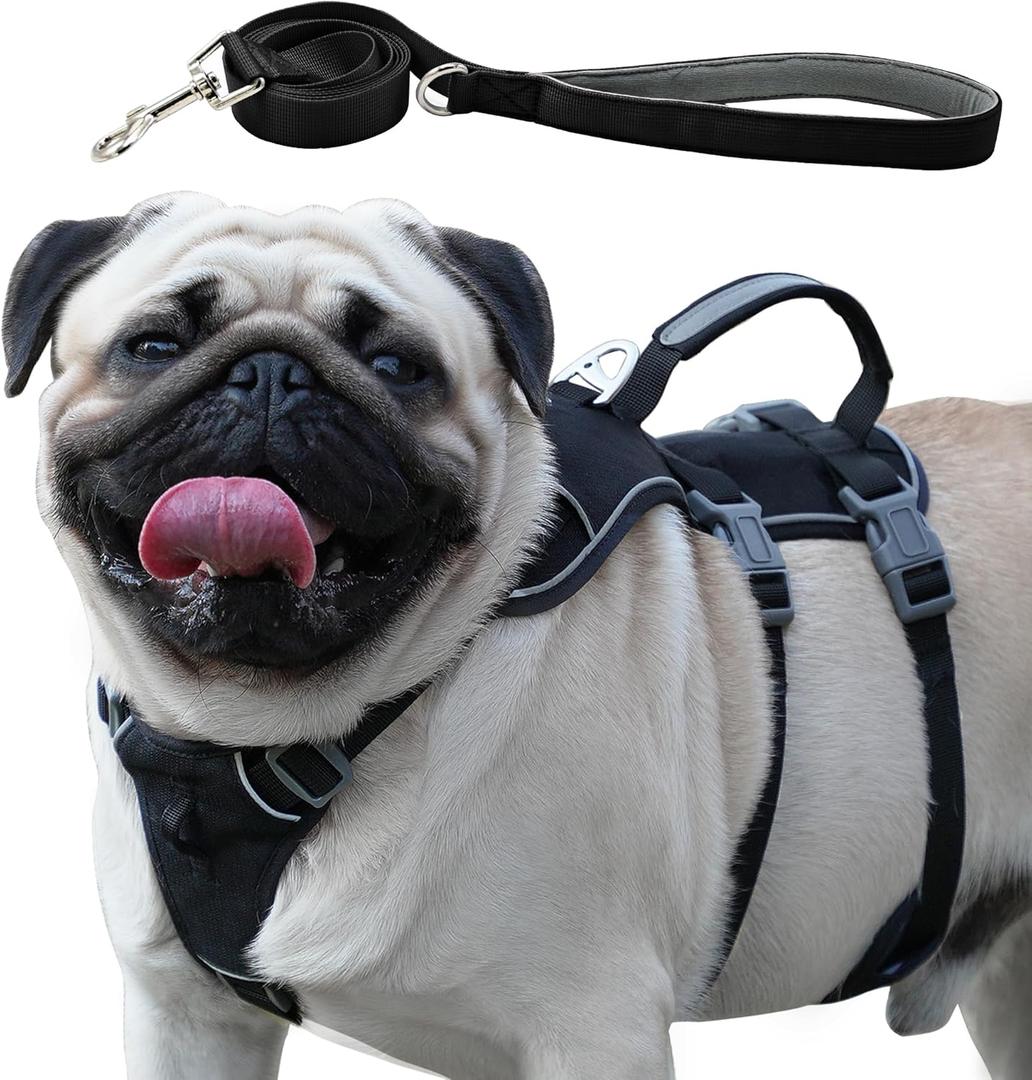 Escape Proof Dog Harness and Leash Set, Lightweight Dog Harness with Lift and Assist Handle, No Pull Reflective Pet Vest for Small Medium Dogs, Ideal for Puppy Walking and Training (Black, XS)