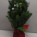 National Tree Company 24 in Pre-Lit Majestic Fir Mini Artificial Christmas Tree, 35 Clear Lights, 71 Tips, Red Cloth Base, Green