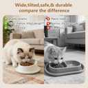 Ant Proof No Spill Ceramic Cat Food Bowl 15 Tilted Neck Support,No Spill,Non-Slip Base,Easy Clean Pet Water Dish for Cat and Small Dog Indoor or Outdoor Use
