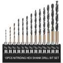 13pcs Hex Shank Drill Bit Set, Professional HSS Nitriding Twist Drill Bits, Upgrade Black and Gold Coated Drill Bit, Quick Change Design for Wood, Steel, Metal, and Plastic, 1/16IN to 1/4IN.