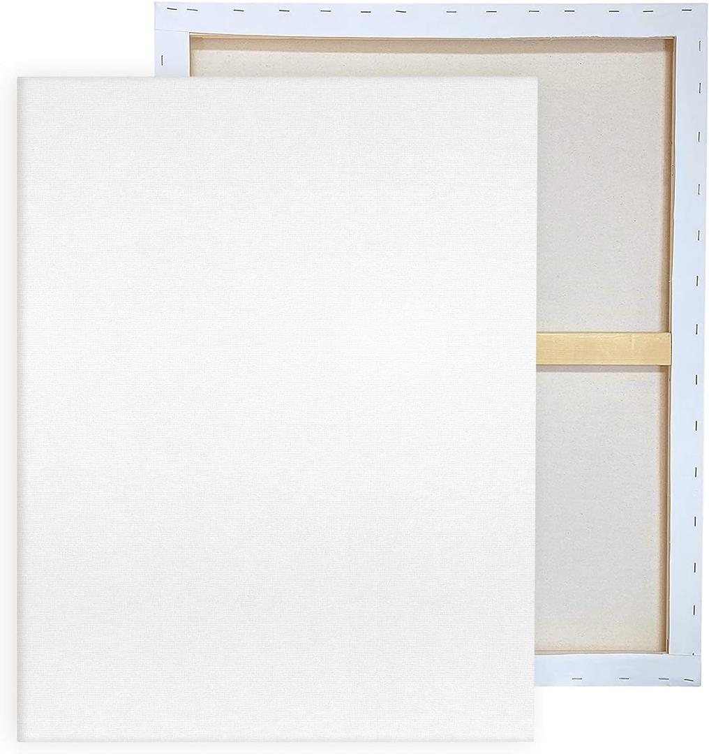Pre Stretched Canvases for Painting 24x36 1 Pack Large Blank Canvas Boards for Acrylic Pouring and Oil Painting, 100% Cotton, 5-Time Gesso Primed
