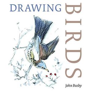 Drawing Birds