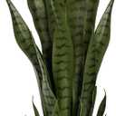 Artificial Snake Plant  28in Faux Sansevieria Plants, Fake Floor Plant for Indoor Outdoor, Front Porch Patio Home Office Decor, Mother-in-Laws Tongue, Green 1Pcs