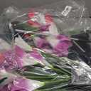 WdtPro Solar Lights Outdoor Garden Decorative 6 Pack, Waterproof Solar Garden Lights with 24 Lily Flowers, Color Changing LED Solar Powered Landscape Lights for Outside Yard Patio Decor,Gifts