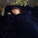 NEWCOSPLAY Super Soft King Blanket Dark Navy Premium Silky Flannel Fleece 3D Clouds Stylish Jacquard Lightweight Bed Blanket All Season Use 350GSM (Dark Navy, King(90"x110"))
