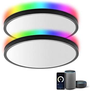 TALOYA 2 Pack Black Smart Ceiling Light Flush Mount LED WiFi, Compatible with Alexa Google Home, Dimmable Low Profile Ambient Light Fixture for Bedroom Living Room,12 Inch 24W