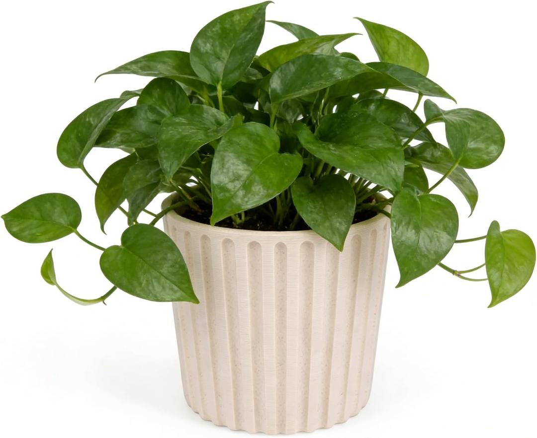 Ekirlin 7 Inch Indoor Plant Pot, Natural Resin Modern Planters, Graceful Curves Textures Garden Pot with Drainage Hole, Removable Rubber Stopper and Non-Slip Soft Pad, Decorative Pot for Home/Outdoor