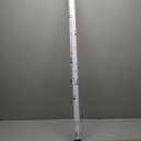 Fadeless Schoolgirl Style Bulletin Board Paper, Seriously Darling, 47.25" x 25', 1 Roll