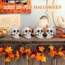 Amosfun 6PCS Halloween Skeletons Plastic Realistic Human Skull Head Bone Model Ghost House Props Halloween Party Supplies