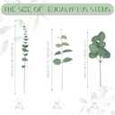 Giegxin 90 Pcs 3 Kinds Mixed Artificial Eucalyptus Leaves Stems Bulk Silver Dollar Leaves Picks Dried Eucalyptus Bundle Faux Spray for Wedding Vase Bouquet Floral Arrangement (Green)