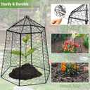 Budiwati 18.5" x 13" Large Plant Protection Cage, 5 Pcs Chicken Wire Cloche, Metal Protectors for Garden Plants, Protecting Fruits and Seedlings from Rabbits, Squirrels and Other Animals