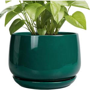 G EPGardening Ceramic Pots for Plants - 9 Inch Ceramic Planter for Indoor Plants, Round Planter with Drainage and Saucer, Modern Flower Pots for Outdoor, House Decor, Garden Gifts, Green
